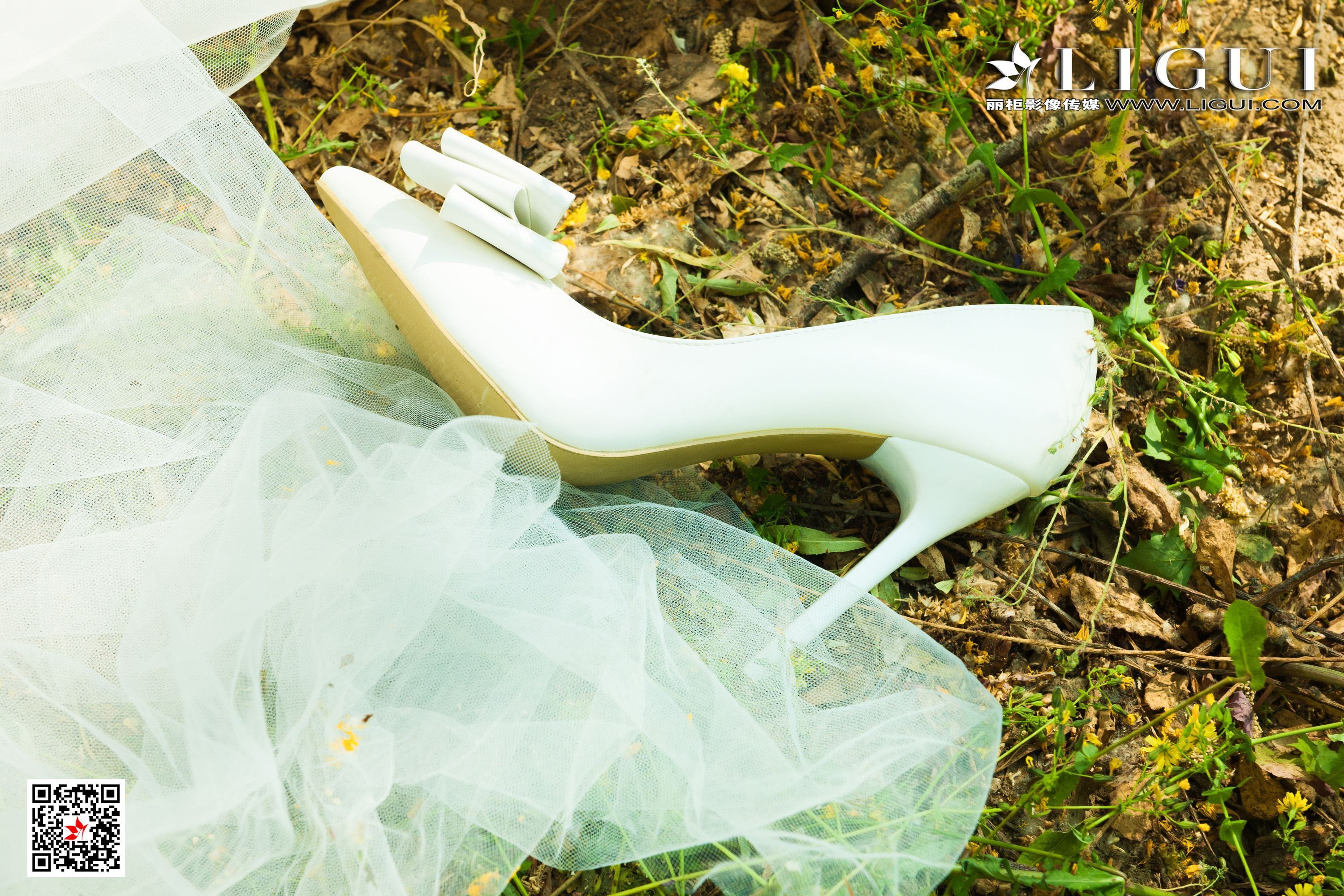 Ligui丽柜  2021.05.21 网络丽人 Model 蕊蕊